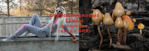 тгк Алексеевка