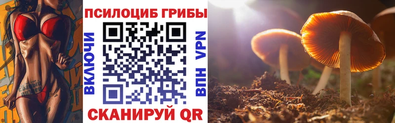 наркошоп  Покров  Галлюциногенные грибы GOLDEN TEACHER 